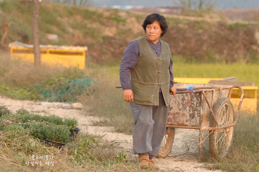 내가 빈첸시아 입...