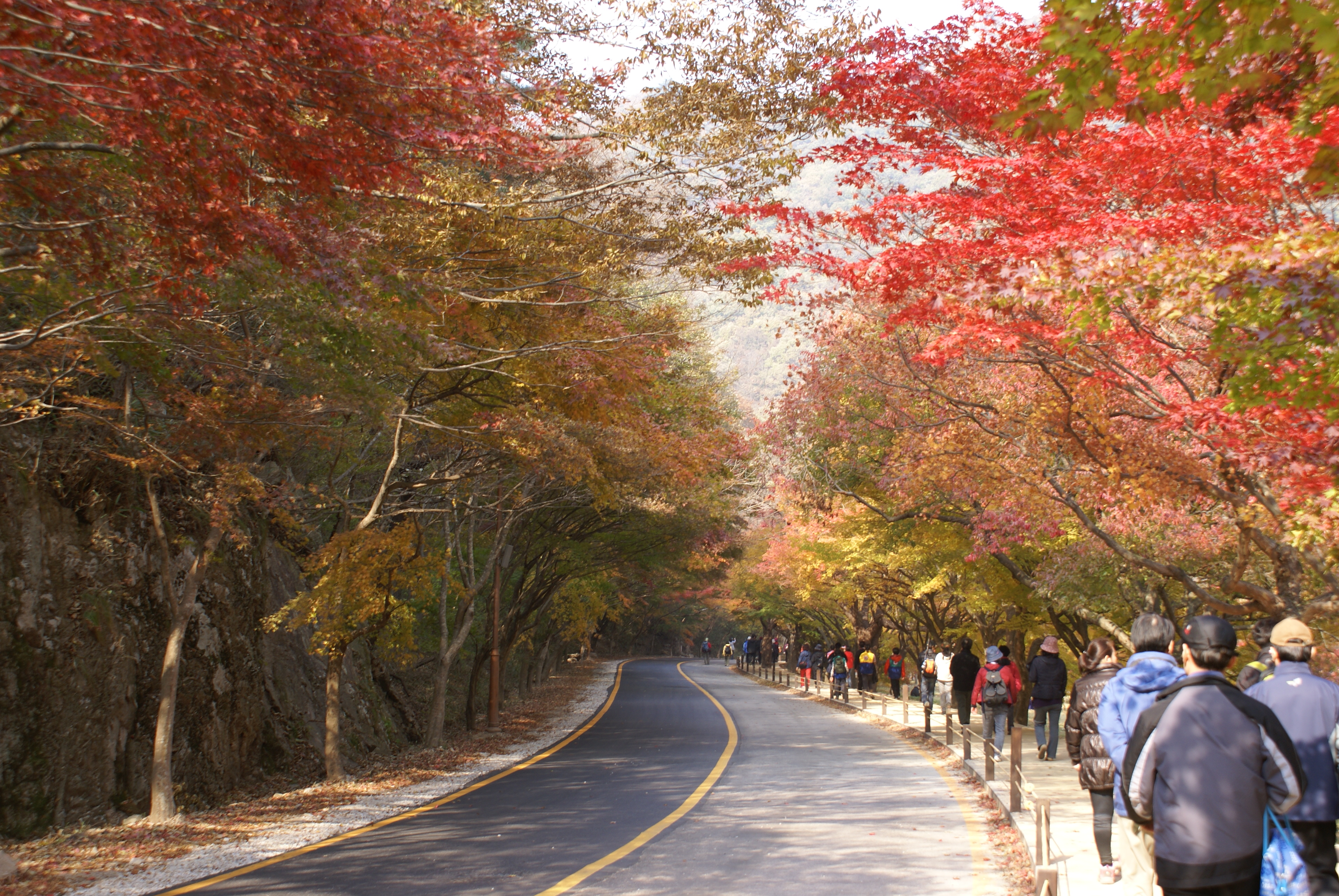 내장산의 가을