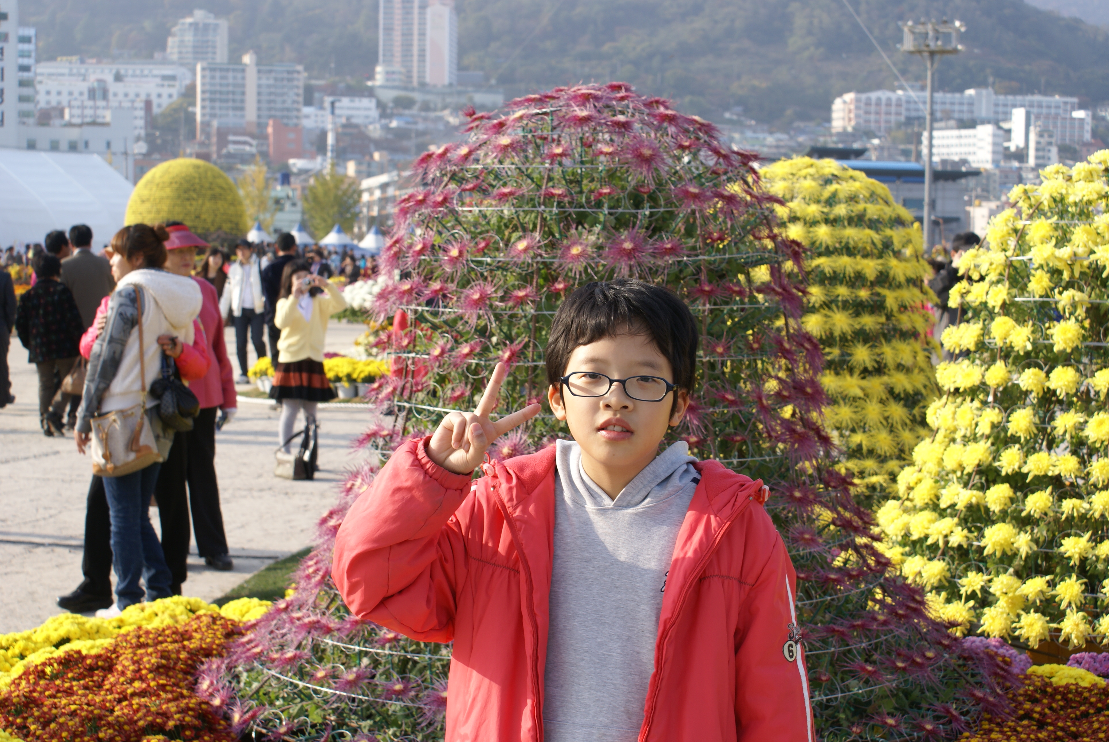 마산 국화축제