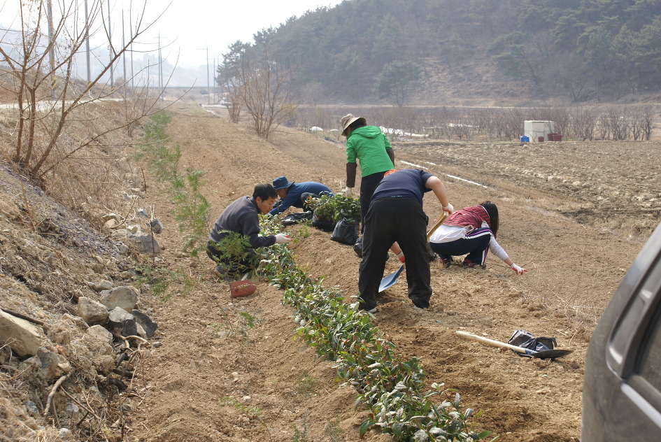 파란노을님이 더디...